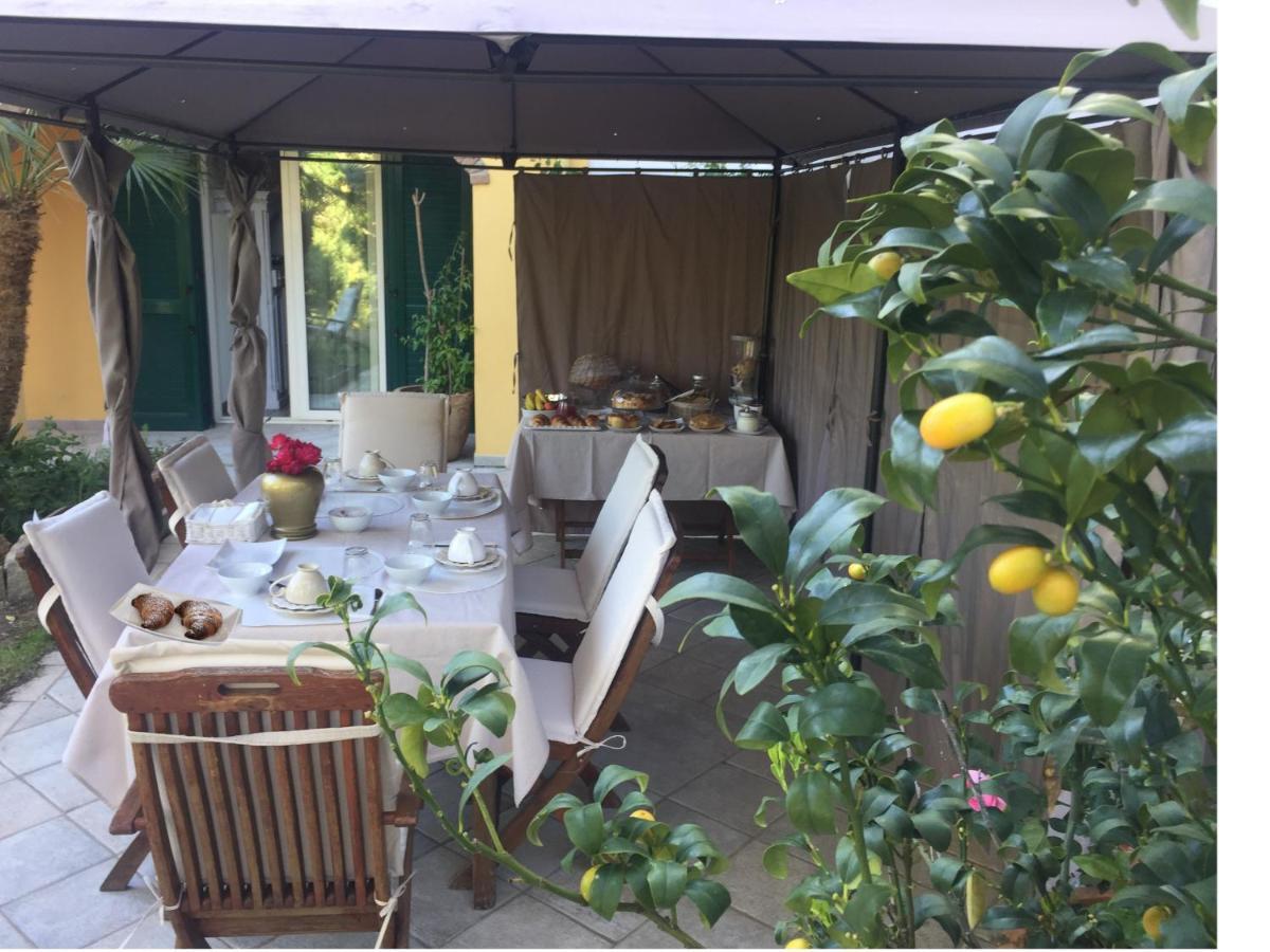 L'Acacia B&B 皮特拉利古 外观 照片