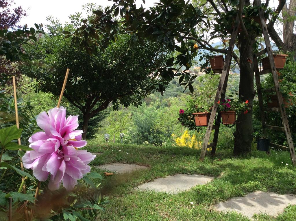 L'Acacia B&B 皮特拉利古 外观 照片