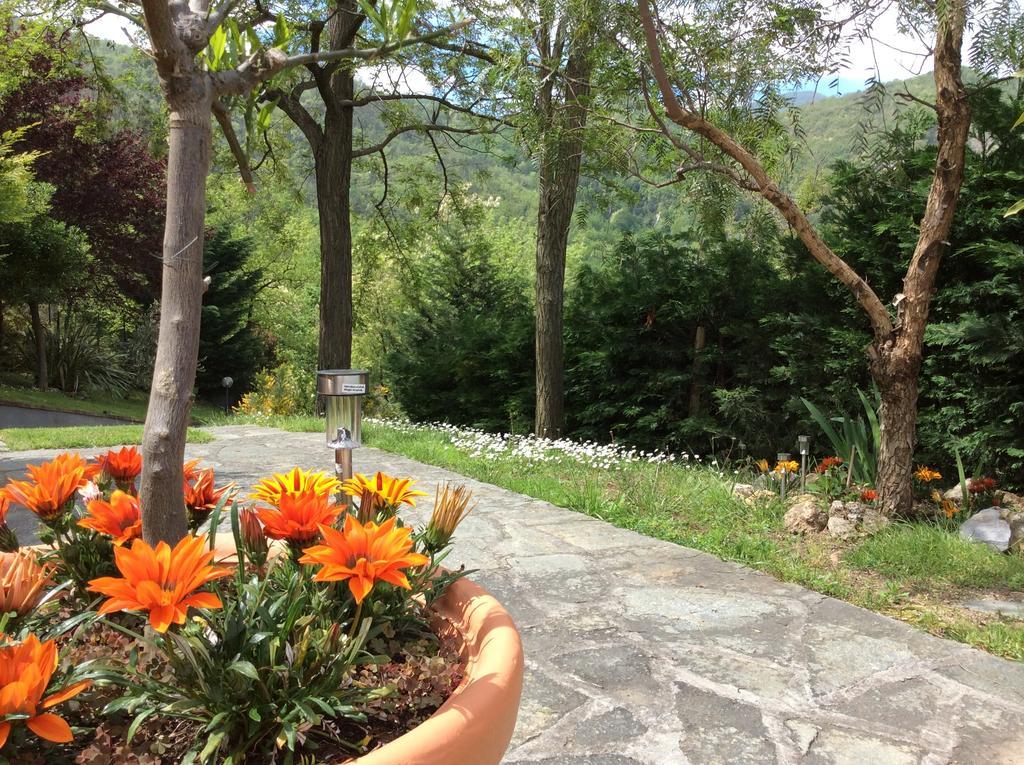 L'Acacia B&B 皮特拉利古 外观 照片