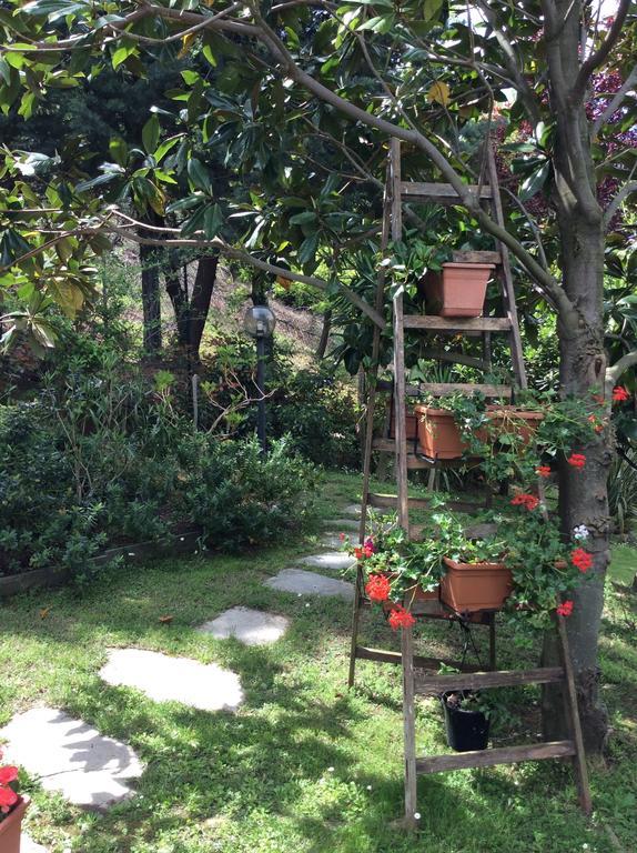L'Acacia B&B 皮特拉利古 外观 照片